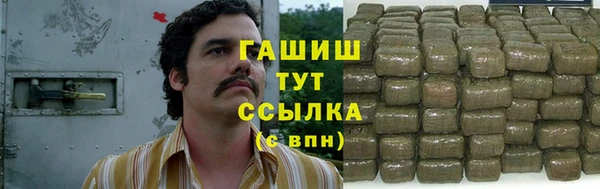гашик Березники