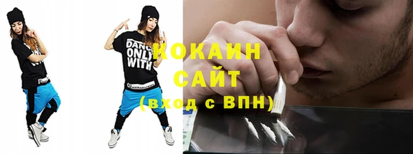 гашик Березники