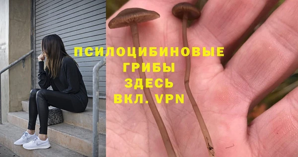 прущий лед Ладушкин