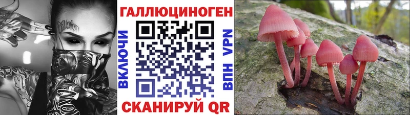 OMG сайт  магазин продажи наркотиков  Никольск  Галлюциногенные грибы мицелий 